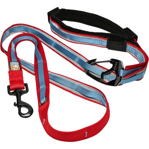  Kurgo 6 in 1 Hands Free Dog Leash | Reflective Running Belt Leash for Dogs | Crossbody & Waist Belt Leash | Carabiner Clip | Padded Handle | For Training, Hiking, or Jogging | Quan