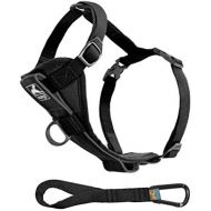 Kurgo Dog Harness | Pet Walking Harness | Car Harness for Dogs | Front D-Ring for No Pull Training | Includes Dog Seat Belt Tether | Tru-Fit Smart Harness | For Small, Medium, & La