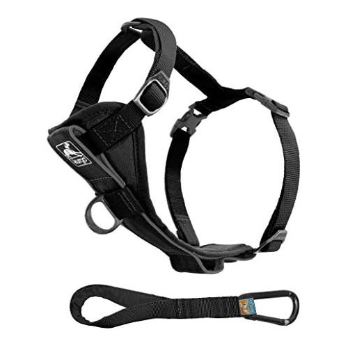  Kurgo Dog Harness | Pet Walking Harness | Car Harness for Dogs | Front D-Ring for No Pull Training | Includes Dog Seat Belt Tether | Tru-Fit Smart Harness | For Small, Medium, & La