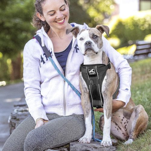  Kurgo Dog Harness | Pet Walking Harness | Car Harness for Dogs | Front D-Ring for No Pull Training | Includes Dog Seat Belt Tether | Tru-Fit Smart Harness | For Small, Medium, & La
