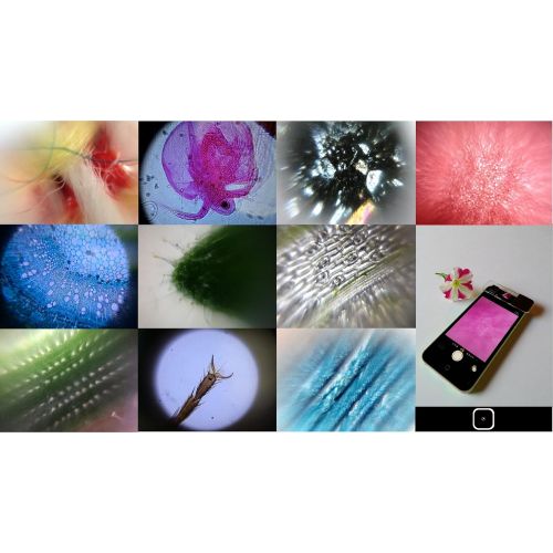  L-eye Smartphone Microscope: for the Front Camera 30-100x Magnification Leye iPhoneiPadAndroid