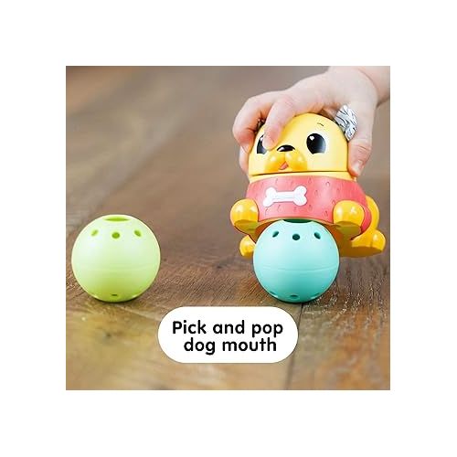  LAMAZE Crawl & Chase Pug Popper - Baby Sensory Toys - Development Baby Toys for Boys and Girls Aged 18 Months and Up (Pack of 2)