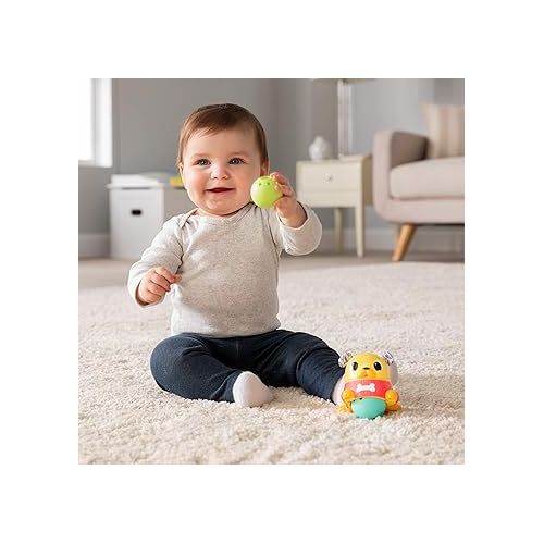  LAMAZE Crawl & Chase Pug Popper - Baby Sensory Toys - Development Baby Toys for Boys and Girls Aged 18 Months and Up (Pack of 2)