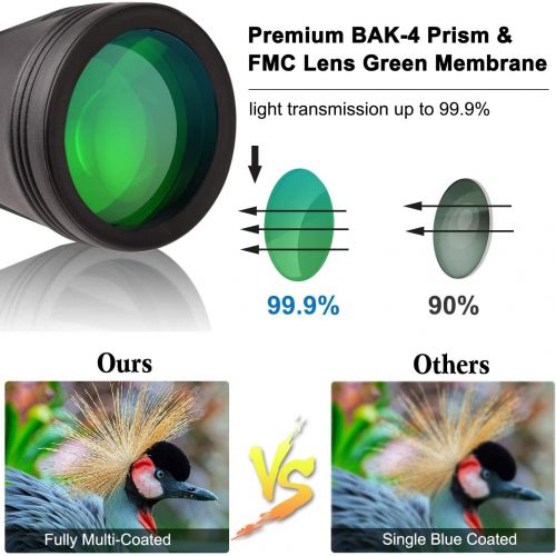  [아마존베스트]LANDVIEW 20x50 Compact Binoculars with Low Light Night Vision, HD Professional/Daily Waterproof Telescope for Outdoor Hunting, Bird Watching, Sightseeing Fit for Adults and Kids with BAK4 P