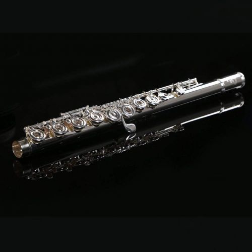  LD Long Di Flute Professional Silver Plated Intermediate 17 Keys, OpenClosed Hole C Flute with Split E key, Inline for Band & Orchestra