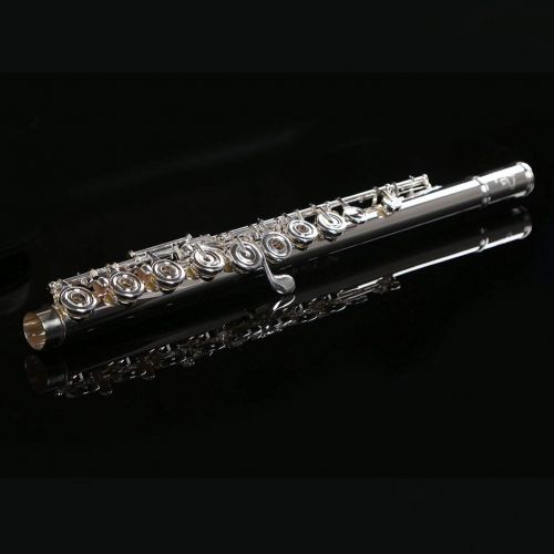  LD Long Di Flute Professional Silver Plated Intermediate 17 Keys, OpenClosed Hole C Flute with Split E key, Inline for Band & Orchestra