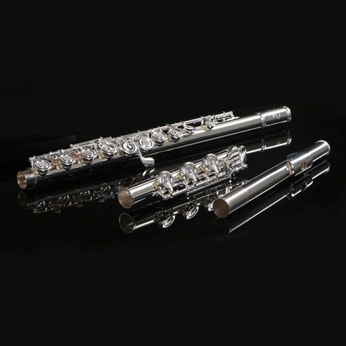  LD Long Di Flute Professional Silver Plated Intermediate 17 Keys, OpenClosed Hole C Flute with Split E key, Inline for Band & Orchestra