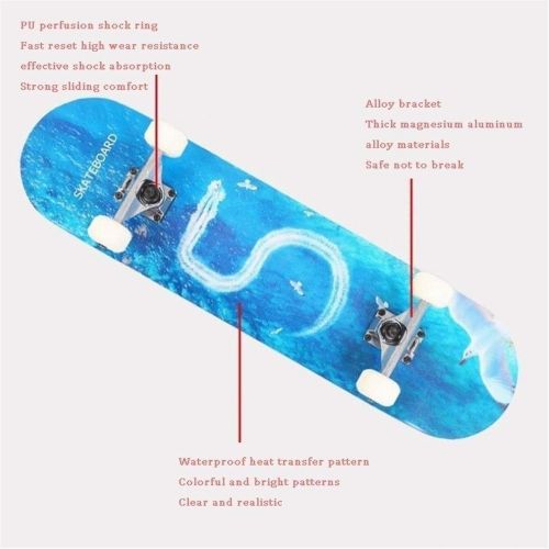  LDGGG Skateboards Complete Skateboard 31 Inch Male and Female Students Beginner Board Double Tilt Skateboard Four-Wheel Skateboard (Meet)