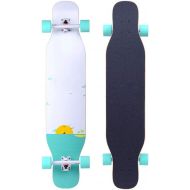 LDGGG Skateboards Complete Skateboard 43 Inches Long Skateboard Adult Beginner Boys and Girls Brush Street Skateboard Pf2056