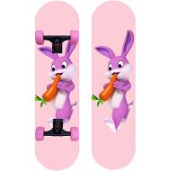 LDGGG Skateboards 31 X 8 Complete Skateboard 7 Layer Maple Wood Double Kick Skateboards for Adults and Childrens Tricks Skateboard (Katie 23)