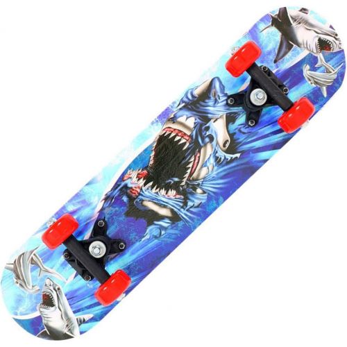  LDGGG Skateboards Complete Skateboard 24-inch Maple Deck Kids Beginner Skateboard, Big Shark