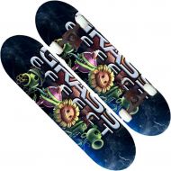 LDGGG Skateboards Complete Skateboard Beginner Skateboarding Adult Skateboard Youth Animation Series 83