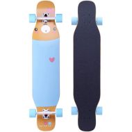 LDGGG Skateboards Complete Skateboard 43 Inches Long Skateboard Adult Beginner Boys and Girls Brush Street Skateboard Pf2046