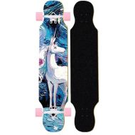 LDGGG Skateboards Complete Skateboard 42 Inches, Seven-Layer Maple Wood Long Skateboard Adult Beginner Boys and Girls Brush Street Skateboard Outdoor Product 26