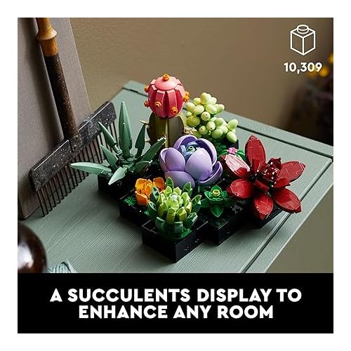  LEGO Icons Succulents Artificial Plant Set for Adults, Home Decor, Birthday, Creative Housewarming Gifts, Botanical Collection, Flower Bouquet Kit, 10309