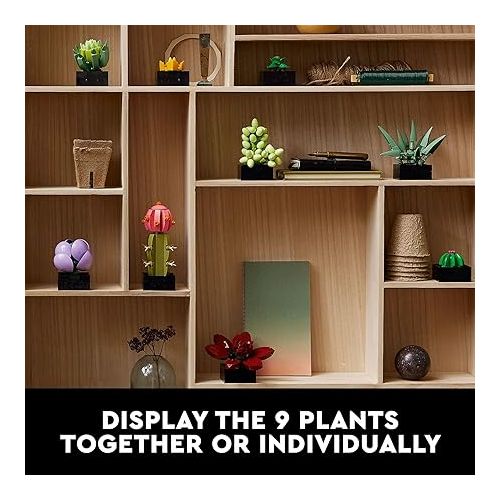  LEGO Icons Succulents Artificial Plant Set for Adults, Home Decor, Birthday, Creative Housewarming Gifts, Botanical Collection, Flower Bouquet Kit, 10309