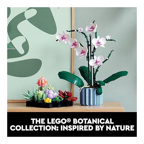  LEGO Icons Succulents Artificial Plant Set for Adults, Home Decor, Birthday, Creative Housewarming Gifts, Botanical Collection, Flower Bouquet Kit, 10309