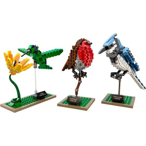  LEGO Ideas 21301 Birds Model Kit(Discontinued by manufacturer)