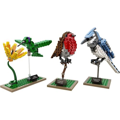  LEGO Ideas 21301 Birds Model Kit(Discontinued by manufacturer)