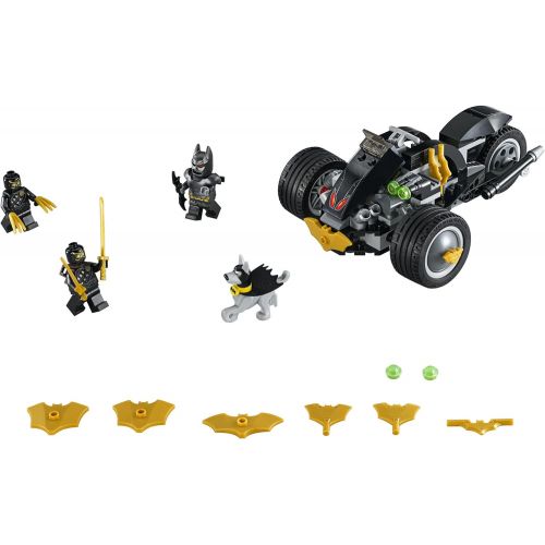  LEGO DC Super Heroes Batman: The Attack of the Talons 76110 Building Kit (155 Piece) (Discontinued by Manufacturer)