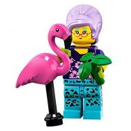 LEGO Minifigures Series 19 Gardener Minifigure with Flamingo 71025