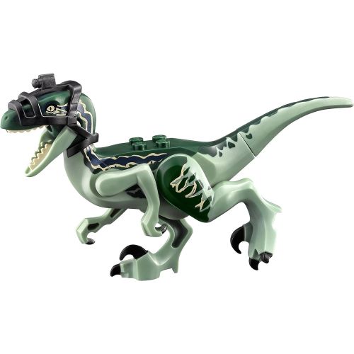  LEGO Jurassic World Raptor Rampage 75917 Building Kit