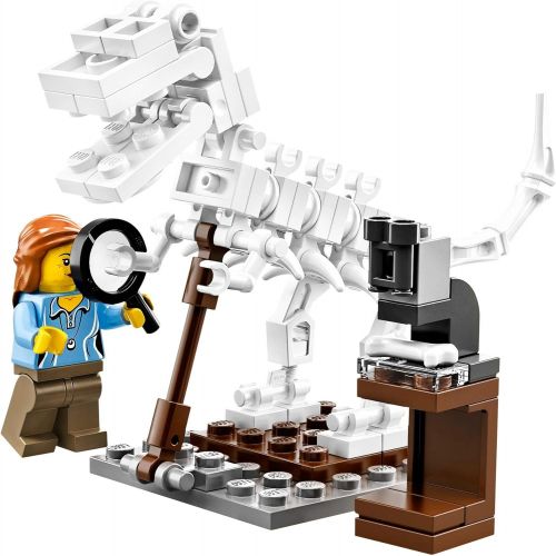  LEGO Cuusoo Research Institute 21110 (Discontinued by manufacturer)