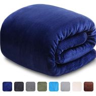 [아마존 핫딜]  [아마존핫딜]LEISURE TOWN Fleece Blanket Queen Size 330 GSM All Season Warm Soft Plush Luxury Microfleece Blanket, Thermal Fuzzy Double Blankets for Sofa Bed Couch, 90 by 90 Inches, Royal Blue