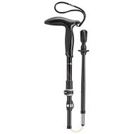 LEKI Legend Micro Carbon Walking Pole