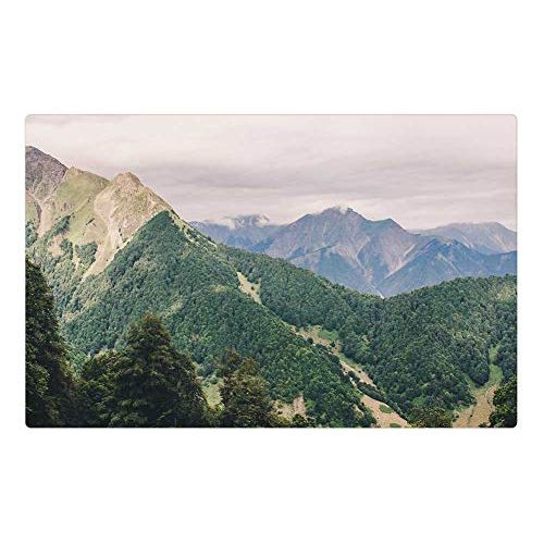  LESGAULEST Doormat Floor Rug/Mat (23.6 x 15.7 inch) Mountain Range View Scenic Landscape Woods Forest