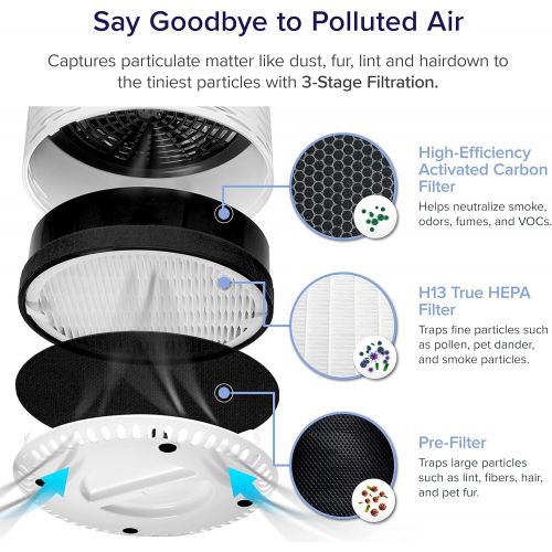  LEVOIT Air Purifier for Home Smokers Allergies and Pets Hair, True HEPA Filter, Quiet in Bedroom, Filtration System Cleaner Eliminators, Odor Smoke Dust Mold, Night Light, LV-H132,