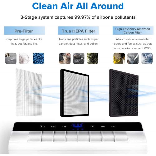  LEVOIT Air Purifier for Home Smokers Allergies and Pets Hair, True HEPA Filter, Black, 2PACK & Smart Wi-Fi Air Purifier for Home with H13 True HEPA Filter Smoke Eater and Odor Elim