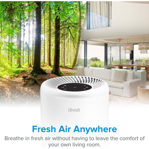  LEVOIT Air Purifiers for Home Allergies and Pets Hair, H13 True HEPA Air Purifier Filter & Air Purifier for Home with H13 True HEPA Filter Cleaner for Allergies and Pets, Vital 100
