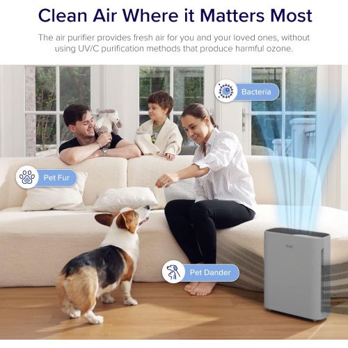  LEVOIT Air Purifiers for Home Large Room, H13 True HEPA Filter Cleaner with Washable Filter for Allergies, Smoke, Dust, Pollen, Quiet Odor Eliminators for Bedroom, Pet Hair Remover