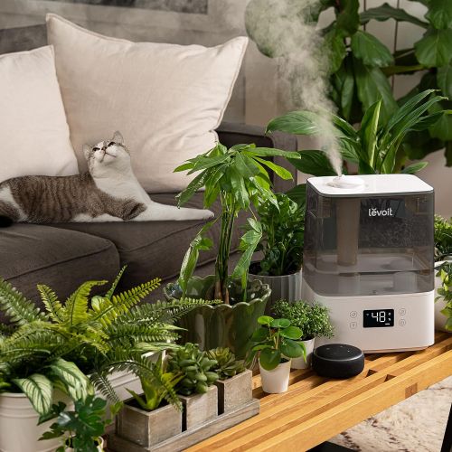  [아마존베스트]LEVOIT Cool Mist Humidifiers for Bedroom, 6L Smart Top Fill Ultrasonic Air Vaporizer for Large Room, Home, Baby [BPA Free], Essential Oil Diffuser, Filterless, Work with Alexa & Ve
