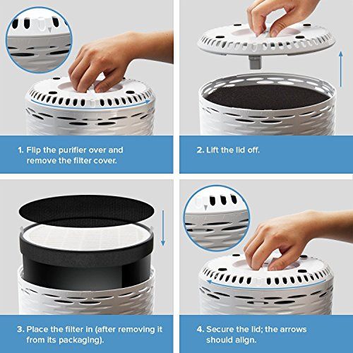  LEVOIT LV-H132 Air Purifier Filtration with True HEPA Filter, Allergies Eliminator for Room, Home, Dust, Mold, Pets, Smokers, Odor Cleaner with Night Light, US-120V, (2 Pack)