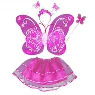 LH Girls Dress Up Princess Fairy Costume Set Include Dress, Wings, Wand and Headband for Kid 3T and up,Rosy