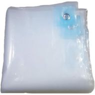 LIANGLIANG-pengbu LIANGLIANG Tarpaulin Waterproof Outdoor Rainproof Sunscreen Transparent Foldable Multifunctional Tarpaulin with Metal Hole Eye Plastic, 22 Sizes (Color : Clear, Size : 3x3m)