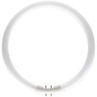 LIGHT_SOURCE FC60w/T5 - T5 Circular Tube 60W - Colour Cool White - 840 - GX13 Cap