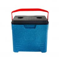 LIYANBWX Portable EPP Foam Box Mini Fridge Cooler & Warmer | 30L Capacity | with Handle |for Camping, Caravans, Picnics and Festivals