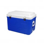 LIYANBWX 65 Litre Passive Cooler Box with Carry Handle & Lid Fully Insulated Food Grade Plastic Ideal for Camping Picnics Beach Trips