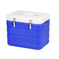 LIYANBWX Portable 6L Mini Fridge Cooler Chiller and Warmer -Ideal for Home Bedrooms Offices Camping Car Caravan Comes with Strap and Thermometer