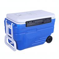 LIYANBWX Portable 37L Mini Fridge Wheeled Cooler Chiller and Warmer -Ideal for Home Bedrooms Offices Camping Car Caravan- Comes with Handle and Skylight