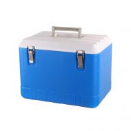 LIYANBWX Portable 21L Mini Fridge Cooler & Warmer Passive Cooler Box with Handle for Outdoor Use, Picnic Camping, Beach