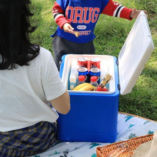  LIYANBWX Portable 21L Mini Fridge Cooler & Warmer Passive Cooler Box with Handle for Outdoor Use, Picnic Camping, Beach