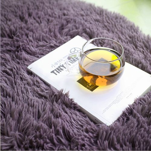  LOCHAS Soft Indoor Modern Area Rugs Fluffy Living Room Carpets Suitable for Children Bedroom Decor Nursery Rugs 4 Feet by 5.3 Feet