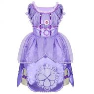 LOEL Girl Dress Kids Ruffles Lace Party Costume Dress