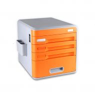 LPYMX Desktop File Cabinet with Chest of Drawers Storage Cabinet Storage Cabinet (Color : A)