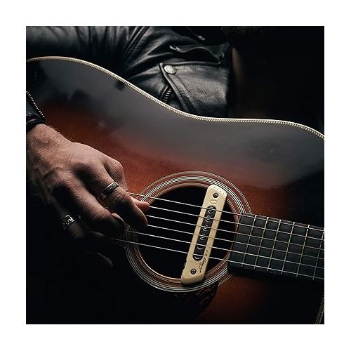  L.R. Baggs M80 Acoustic Guitar Magnetic Soundhole Pickup