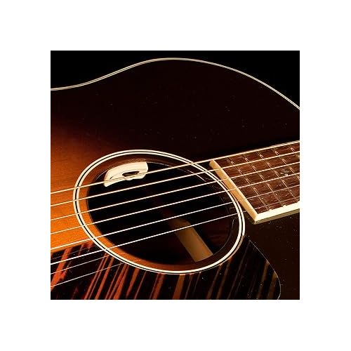  L.R. Baggs Anthem-SL Acoustic Guitar Pickup and Microphone